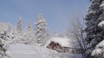 paysage neige avec refuge